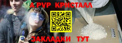 СК Будённовск