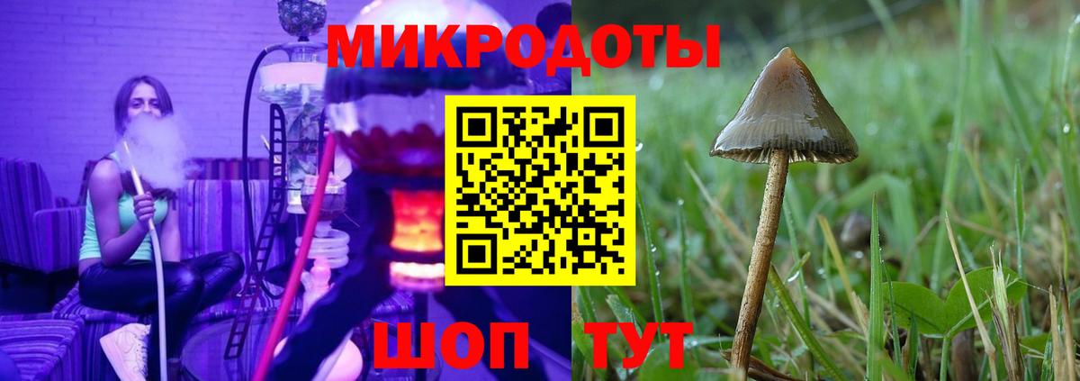 Псилоцибиновые грибы мицелий Псков